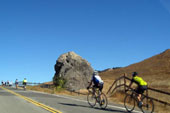 Marin Century