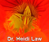 Dr. Heidi Law