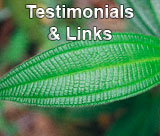 Testimonials & Links